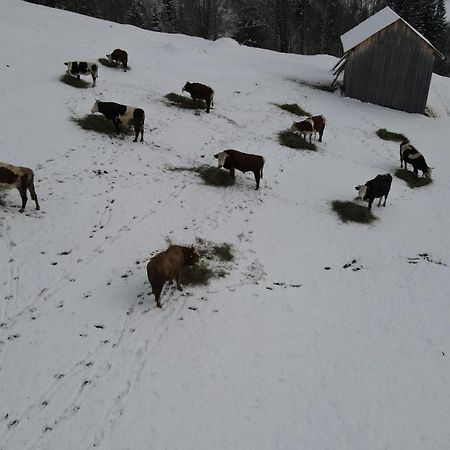 Casa Agroturistica Tarancuta Din Vatra Moldovitei Vatra Moldoviţei Exterior foto