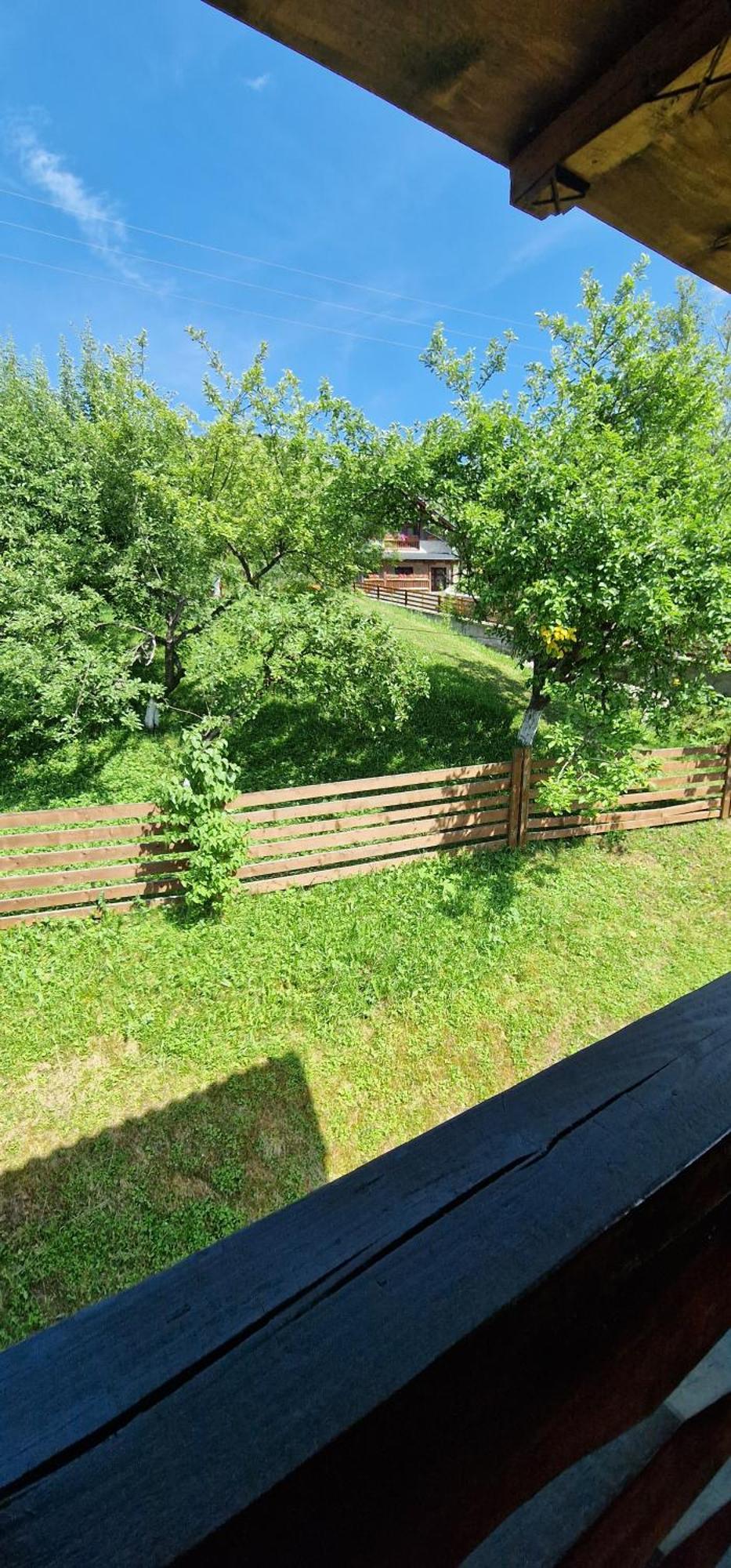 Casa Agroturistica Tarancuta Din Vatra Moldovitei Vatra Moldoviţei Exterior foto