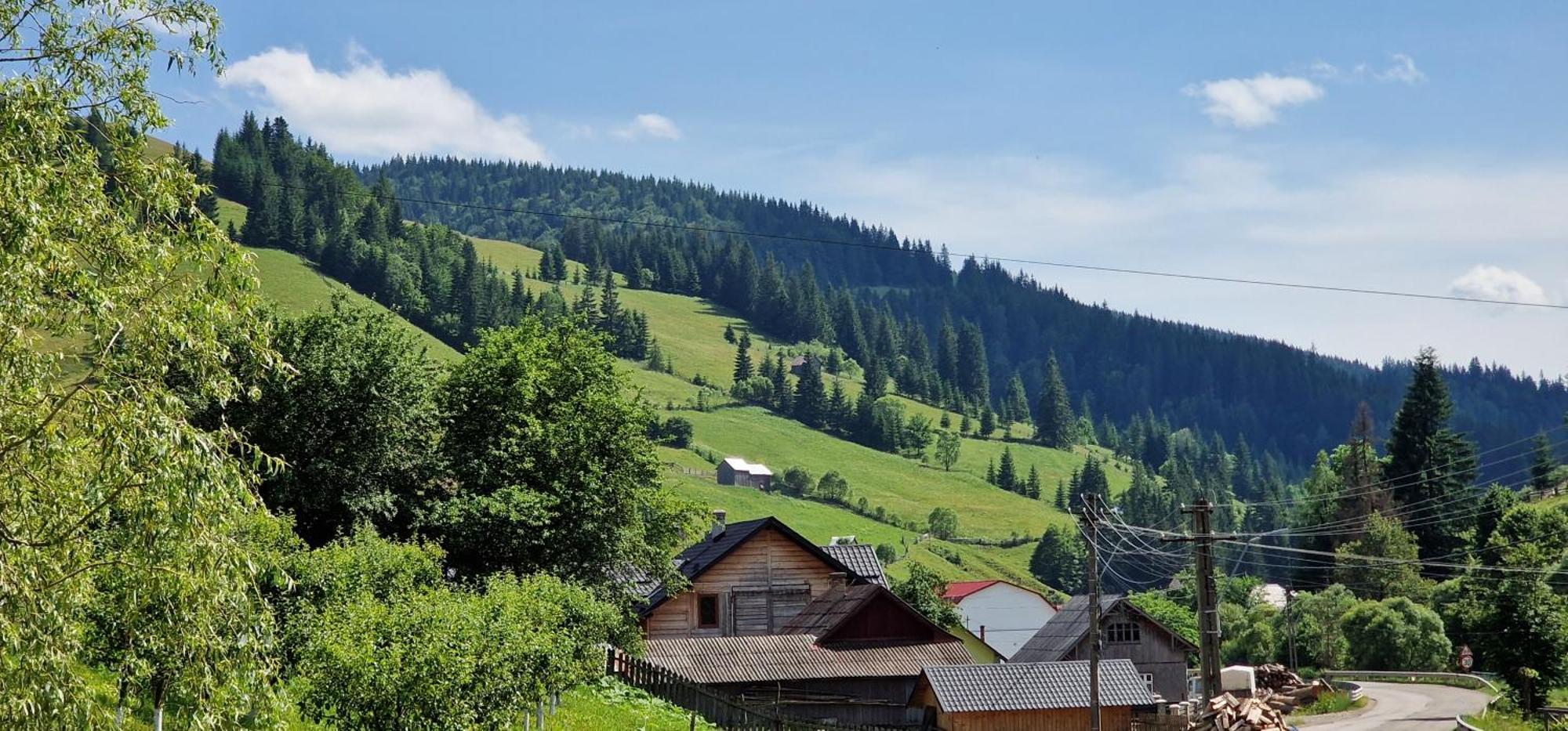 Casa Agroturistica Tarancuta Din Vatra Moldovitei Vatra Moldoviţei Exterior foto