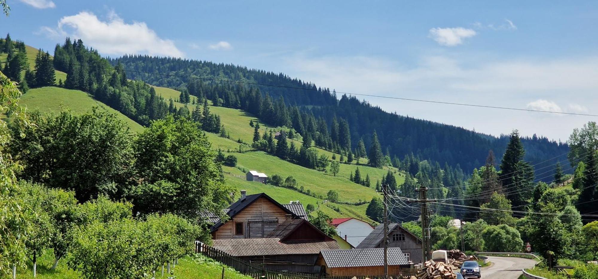 Casa Agroturistica Tarancuta Din Vatra Moldovitei Vatra Moldoviţei Exterior foto